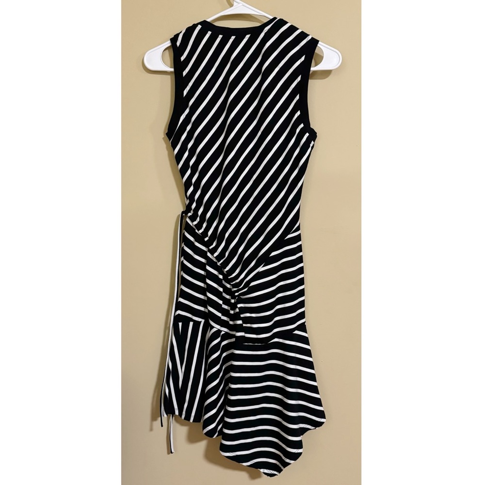 Parker ‘Nicola’ Sleeveless Asymmetrical Stripe Dress in Black/White Size XS - Picture 5 of 11